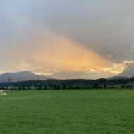 Minecraft Bauer Jojo